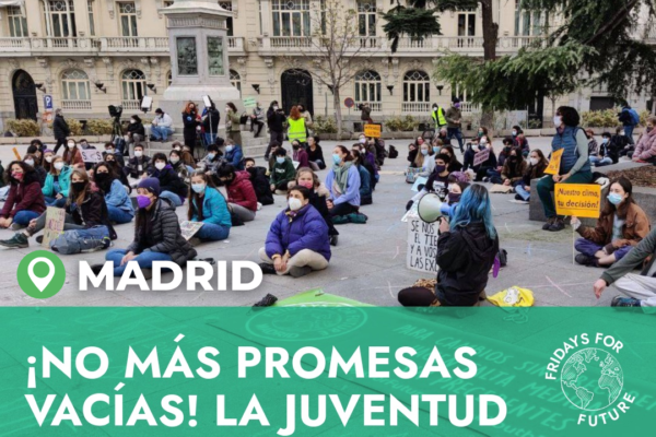 Fotogalería: el 19M en imágenes