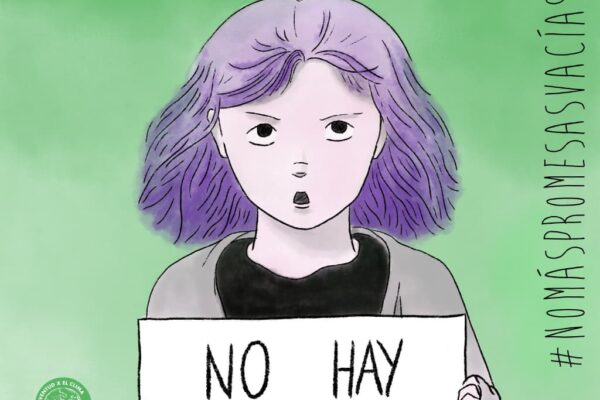 Organizaciones ecologistas se movilizan frente a las “promesas vacías”.