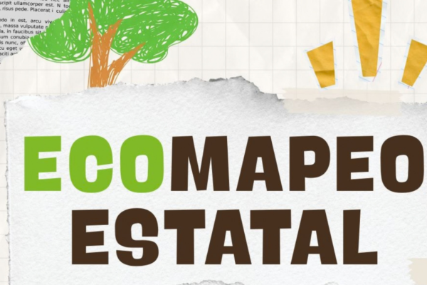 Ecomapeo Estatal: ¡Aquí falta un árbol!
